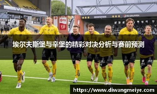 埃尔夫斯堡与辛堡的精彩对决分析与赛前预测